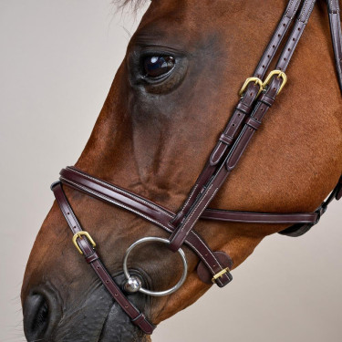 Hoofdstel Différence D Collectie van Dy'on Bruin