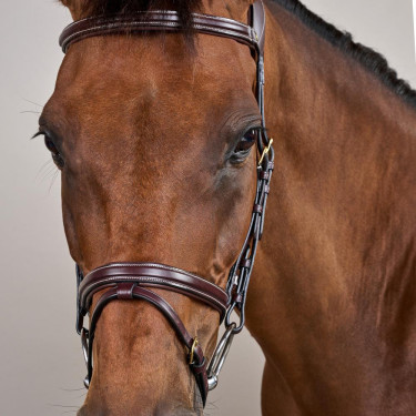 Hoofdstel Différence D Collectie van Dy'on Bruin