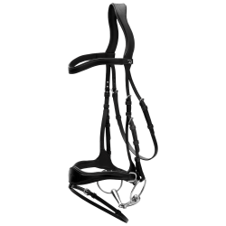 Hoofdstel D Motion New English Collection by Dy'on Zwart