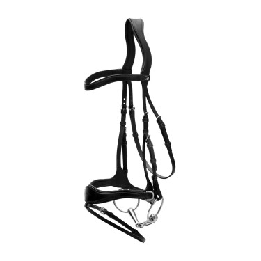 Hoofdstel D Motion New English Collection by Dy'on Zwart