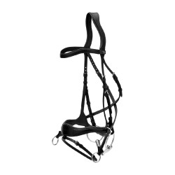 Hoofdstel D Motion New English Collection by Dy'on Zwart