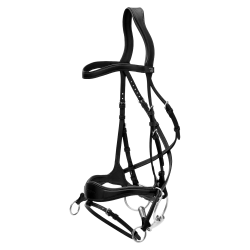 Hoofdstel D Motion New English Collection by Dy'on Zwart