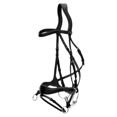 Hoofdstel D Motion New English Collection by Dy'on Zwart