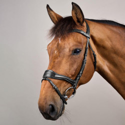 Hoofdstel D Motion New English Collection by Dy'on Zwart