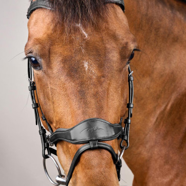 Hoofdstel D Motion New English Collection by Dy'on Zwart