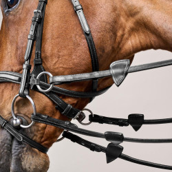 Hoofdstel D Motion New English Collection by Dy'on Zwart