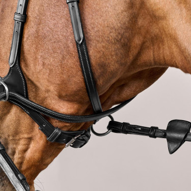 Hoofdstel D Motion New English Collection by Dy'on Zwart