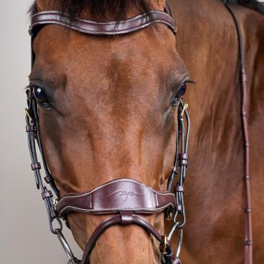 Hoofdstel D Motion D Collectie van Dy'on Bruin