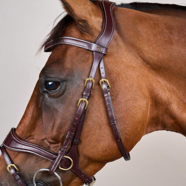 Hoofdstel D Motion D Collectie van Dy'on Bruin