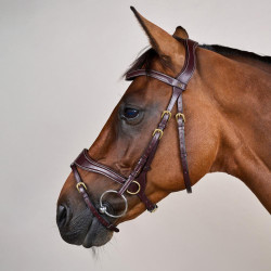 Hoofdstel D Motion D Collectie van Dy'on Bruin