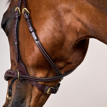 Hoofdstel D Motion D Collectie van Dy'on Bruin