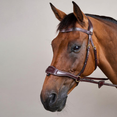 Hoofdstel D Motion D Collectie van Dy'on Bruin