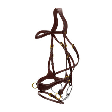 Hoofdstel D Motion D Collectie van Dy'on Bruin