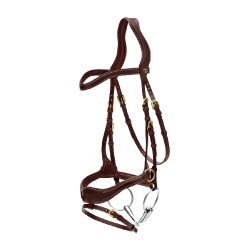 Hoofdstel D Motion D Collectie van Dy'on Bruin