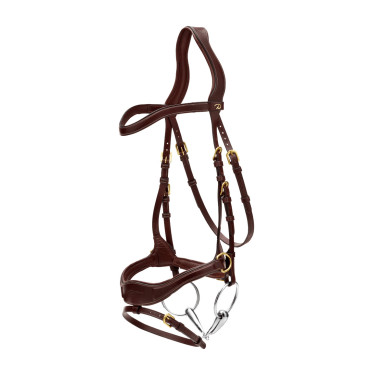 Hoofdstel D Motion D Collectie van Dy'on Bruin