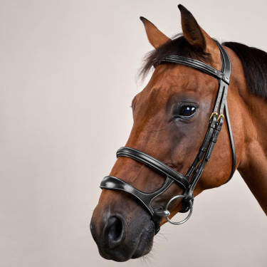 Bridon Dubbele Neusriem D Collection by Dy'on Zwart