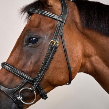 Bridon Dubbele Neusriem D Collection by Dy'on Zwart