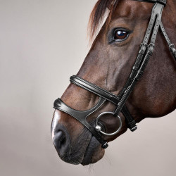Hoofdstel Dubbele Neusriem New English Collection by Dy'on Zwart