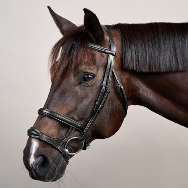 Hoofdstel Dubbele Neusriem New English Collection by Dy'on Zwart