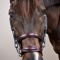 Hoofdstel Dubbele Neusriem New English Collection by Dy'on Zwart