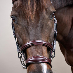 Hoofdstel Dubbele Neusriem New English Collection by Dy'on Bruin Hoofdstel Dubbele Neusriem New English Collection by Dy'on Bruin