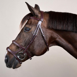 Hoofdstel Dubbele Neusriem New English Collection by Dy'on Bruin Hoofdstel Dubbele Neusriem New English Collection by Dy'on Bruin