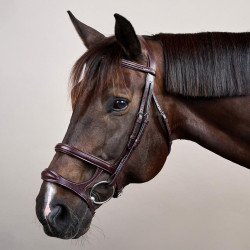 Hoofdstel Dubbele Neusriem New English Collection by Dy'on Bruin Hoofdstel Dubbele Neusriem New English Collection by Dy'on Bruin