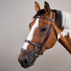 Bridon Dubbele Neusriem US Collectie by Dy'on Bruin Bridon Dubbele Neusriem US Collectie by Dy'on Bruin