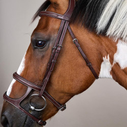 Bridon Dubbele Neusriem US Collectie by Dy'on Bruin Bridon Dubbele Neusriem US Collectie by Dy'on Bruin