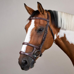 Bridon Dubbele Neusriem US Collectie by Dy'on Bruin Bridon Dubbele Neusriem US Collectie by Dy'on Bruin
