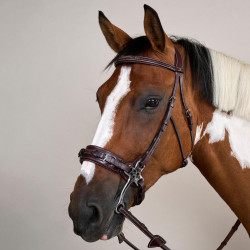 Bridon Hackamore US Collectie van Dy'on Bruin Bridon Hackamore US Collectie van Dy'on Bruin