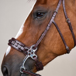 Bridon Hackamore US Collectie van Dy'on Bruin Bridon Hackamore US Collectie van Dy'on Bruin