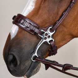 Bridon Hackamore US Collectie van Dy'on Bruin Bridon Hackamore US Collectie van Dy'on Bruin