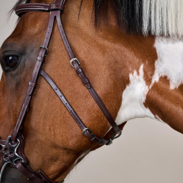 Bridon Hackamore US Collectie van Dy'on Bruin Bridon Hackamore US Collectie van Dy'on Bruin