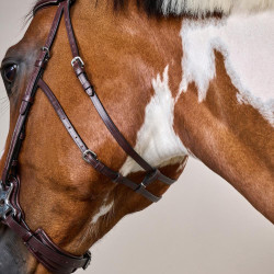 Bridon Hackamore US Collectie van Dy'on Bruin Bridon Hackamore US Collectie van Dy'on Bruin