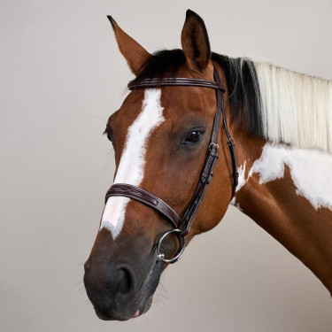 Bridon Hunter US Collectie van Dy'on Bruin