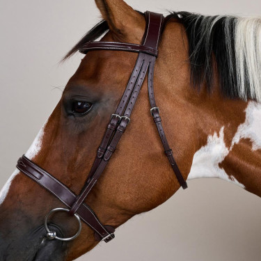 Bridon Hunter US Collectie van Dy'on Bruin