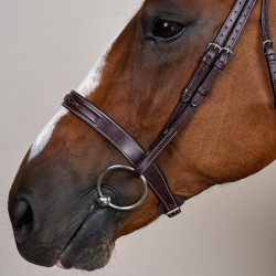 Bridon Hunter US Collectie van Dy'on Bruin