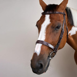 Bridon Hunter US Collectie van Dy'on Bruin