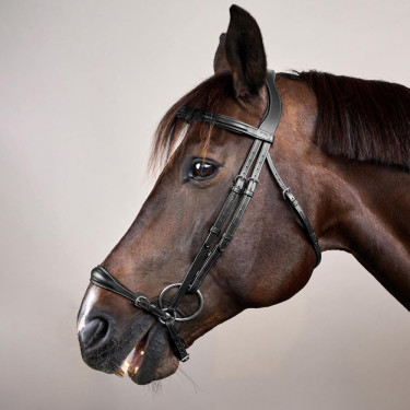 Halster Duitse Neusriem Verstelbaar New English Collection by Dy'on Zwart