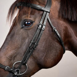 Halster Duitse Neusriem Verstelbaar New English Collection by Dy'on Zwart