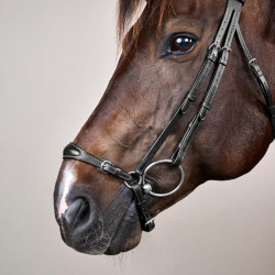 Halster Duitse Neusriem Verstelbaar New English Collection by Dy'on Zwart