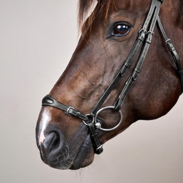 Halster Duitse Neusriem Verstelbaar New English Collection by Dy'on Zwart