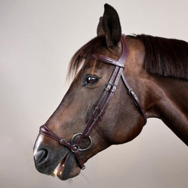 Halster Duitse Neusriem Verstelbaar New English Collection by Dy'on Bruin