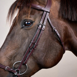 Halster Duitse Neusriem Verstelbaar New English Collection by Dy'on Bruin