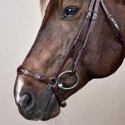 Halster Duitse Neusriem Verstelbaar New English Collection by Dy'on Bruin