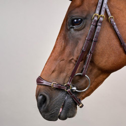 Hoofdstel Duitse Neusriem Verstelbaar D Collection by Dy'on Bruin Hoofdstel Duitse Neusriem Verstelbaar D Collection by Dy'on Bruin