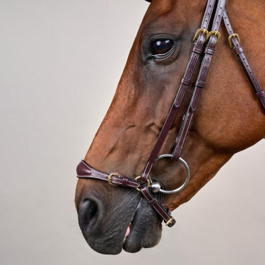 Hoofdstel Duitse Neusriem Verstelbaar D Collection by Dy'on Bruin Hoofdstel Duitse Neusriem Verstelbaar D Collection by Dy'on Bruin