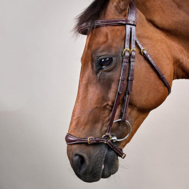 Hoofdstel Duitse Neusriem Verstelbaar D Collection by Dy'on Bruin Hoofdstel Duitse Neusriem Verstelbaar D Collection by Dy'on Bruin