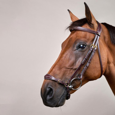 Hoofdstel Duitse Neusriem Verstelbaar D Collection by Dy'on Bruin Hoofdstel Duitse Neusriem Verstelbaar D Collection by Dy'on Bruin